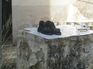 IMG_5091 (Medium)